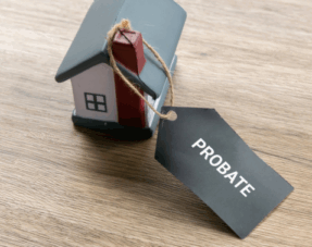 Probate Application